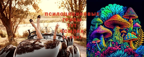 Альфа ПВП Абаза