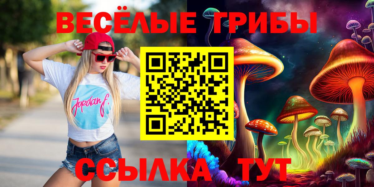 Галлюциногенные грибы прущие грибы Новотроицк