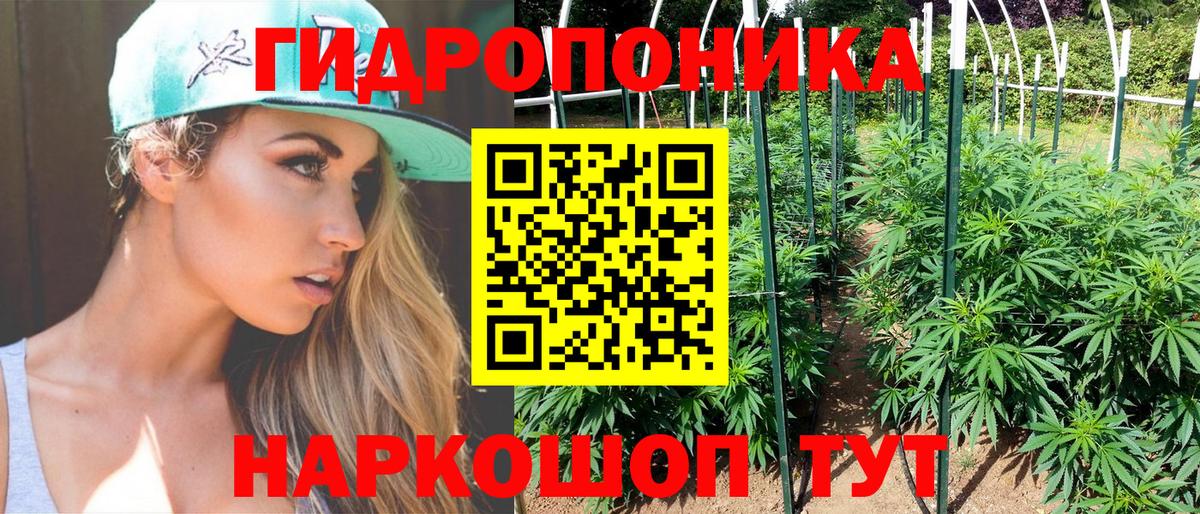 Бошки Шишки SATIVA & INDICA Новотроицк